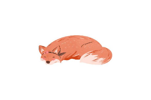 Download Boho Fox - Boho fox Collection