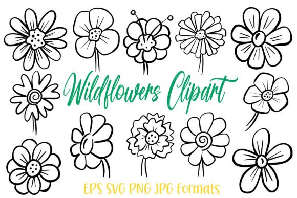 Download Spring Flower Illustration Wildflowers - Spring flower illustration Collection