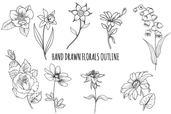 Download Floral Outline Hand Drawn Bundle - Floral outline Collection